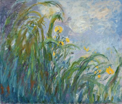 El iris amarillo de Claude Monet